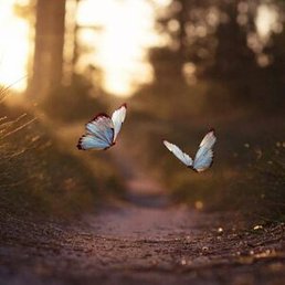 ������, �����������, 33 ����