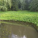 ���� �������, �����-���������, 39 ��� - ��������� 17 �������� 2022 � ������ ���� ����������