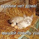 ���� ������, ����������� - ��������� 3 ������� 2022 � ������ ���� ����������