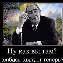 ���� ��������, ������, 84 ���� - ��������� 3 ������� 2022 � ������ ���� ����������