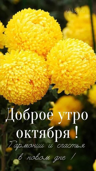 ***Victoria Viktorovna*** - 19  2022  04:56