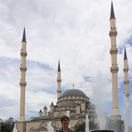 �����, ������, 49 ���