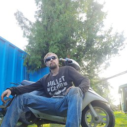 ����, �����, 36 ���