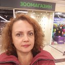 ���� �������, �����-���������, 49 ��� - ��������� 3 �������� 2022 � ������ ���� ����������