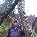  ,  , 56  -  13  2023    