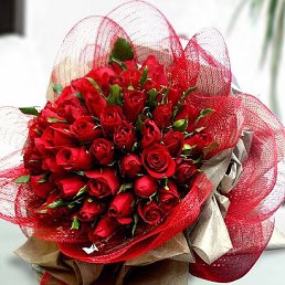 ���� �������, �������, 62 ���� - ��������� 16 ������� 2023