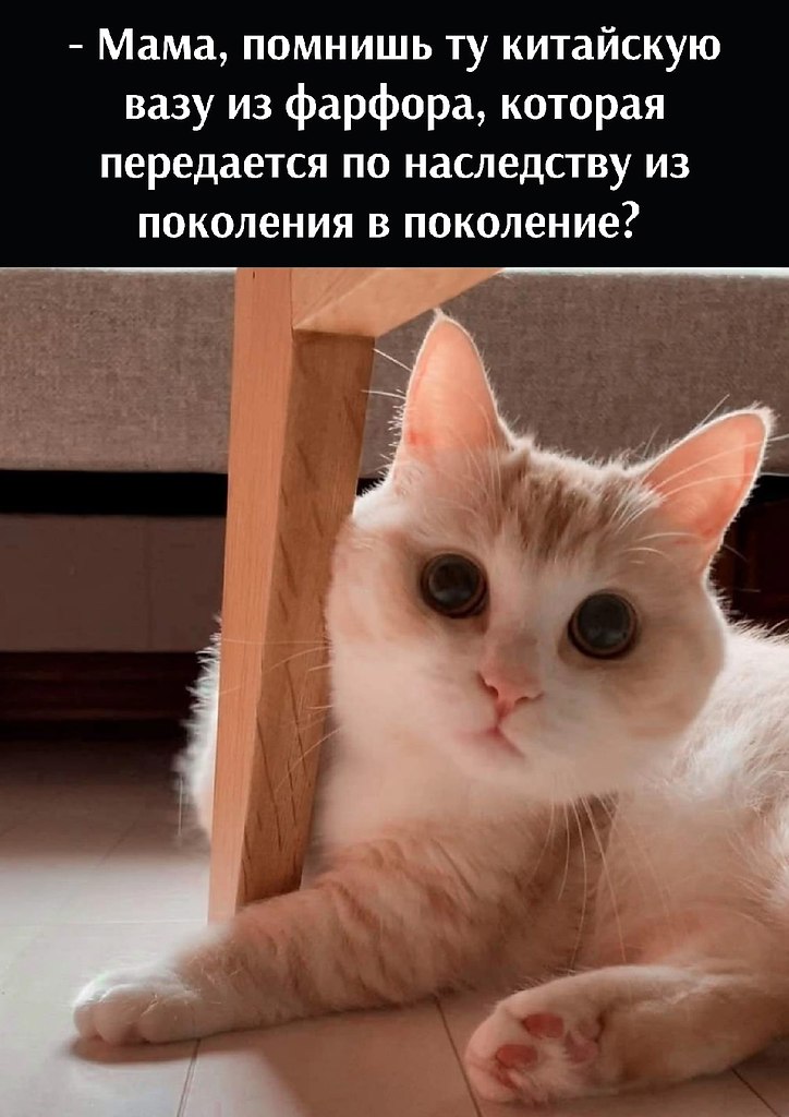       - 20  2022  11:09