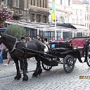 ���� Goshev, ������, 61 ��� - ��������� 10 ������ 2023 � ������ ���� ���� ������