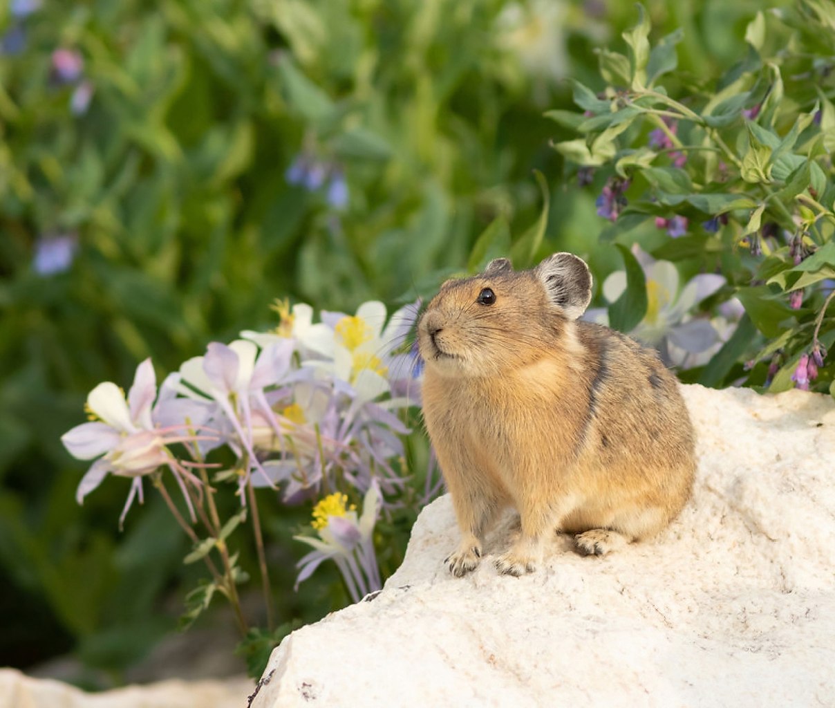 ���� ���������� ������.������ ���������� ������ �������� ������������ �������, �� � ��������� ... - 3