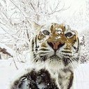  Ann Ann,  -  17  2022    