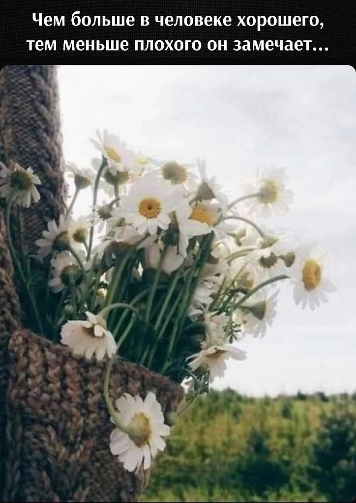 �������� ������� - 14 ������� 2022 � 13:29