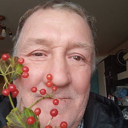 Bazilio, �����������, 65 ���