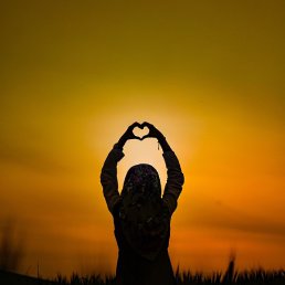 ����, ������, 56 ���