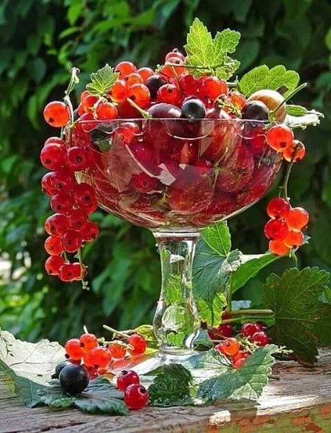 -     ? - ... -   ? -  ,   ...