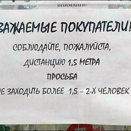 �������, �����-���������, 84 ����