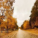 ���� Dima, ����������, 43 ���� - ��������� 15 ������� 2022 � ������ ���� ����������