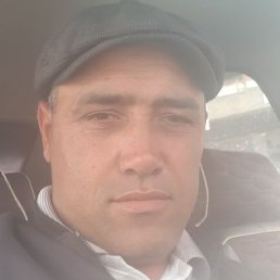 �����, ������, 43 ����