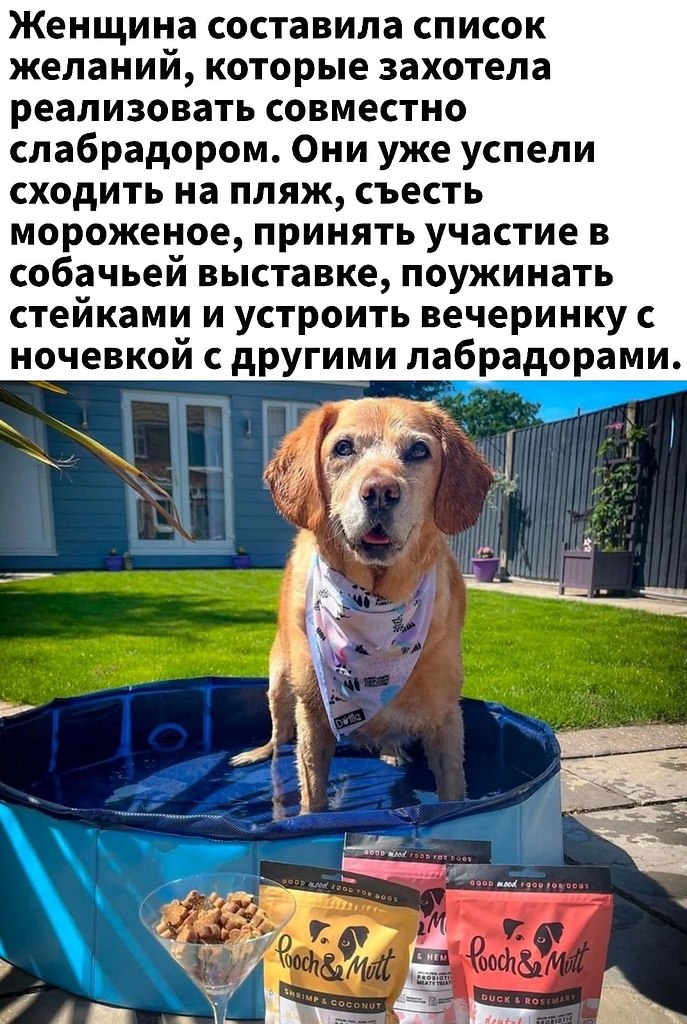   - 3