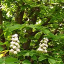 ����� ������ &mdash; ������ �����,���� �� �������� �������:������ ��� � �������,�� ��� �����, ��� �� �����.����, ��� ����, �������� ����,��� ������ &mdash; ������.������� �������� �� ������� ���� ����������