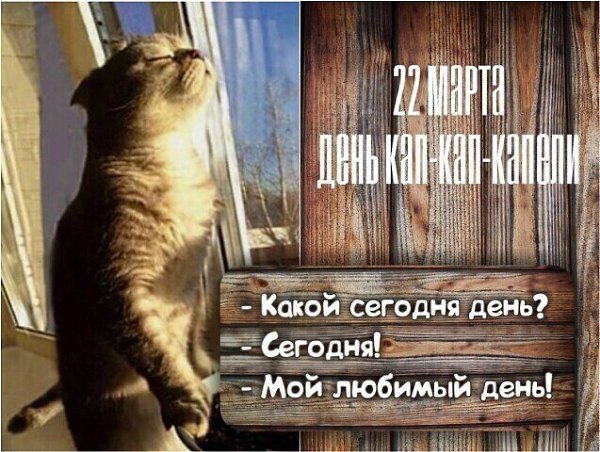 С утра встаешь с постели.И слышишь кап-кап-кап Негромкий стук капели, Чечетку мягких лап. Сосульки ...