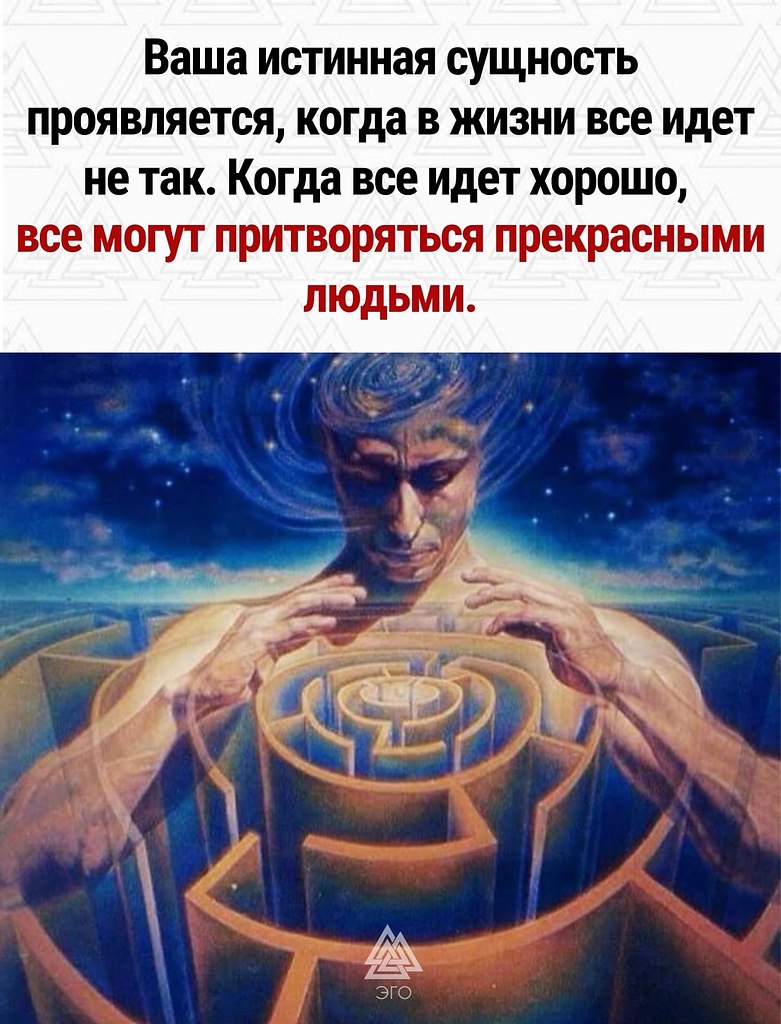  | ,  - 24  2022  20:01