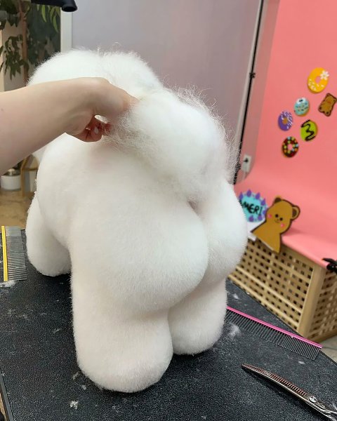 ���� � ������ *��� ����������, ��� � ���� - 3