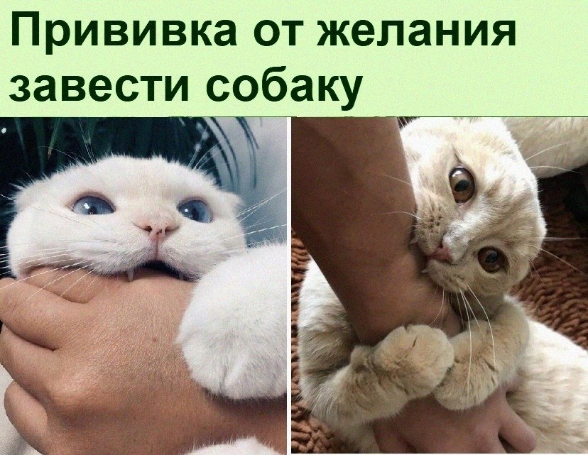 ������ ��������� :D - 21 ������� 2022 � 16:49