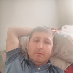 , 42, 