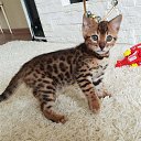 ���� ������, ������ ��������, 66 ��� - ��������� 16 ������� 2023