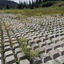  ***L***,   -  27  2022     24  2022 .