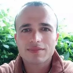 �����, �����-���������, 39 ���