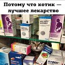 ���� ����, ���������, 54 ���� - ��������� 22 ������� 2022 � ������ ������ ��������