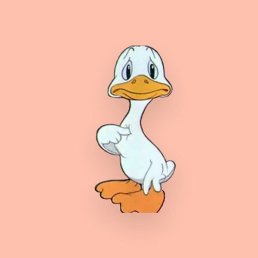 Ada, ����, 37 ���