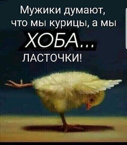 �������� - 28 ��� 2022 � 23:48