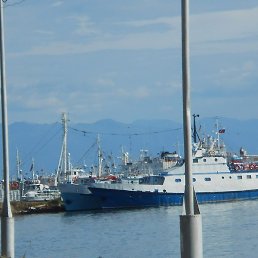 �������, ����, 50 ���