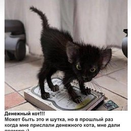 ���� �����, ������������ - ��������� 13 ������ 2022