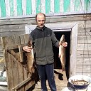  .., , 56  -  5  2022    