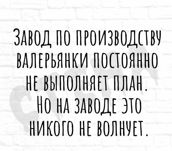   - 13  2023  09:17