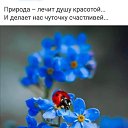 ���� ����, �����-��������� - ��������� 1 ������� 2022 � ������ ���� ����������