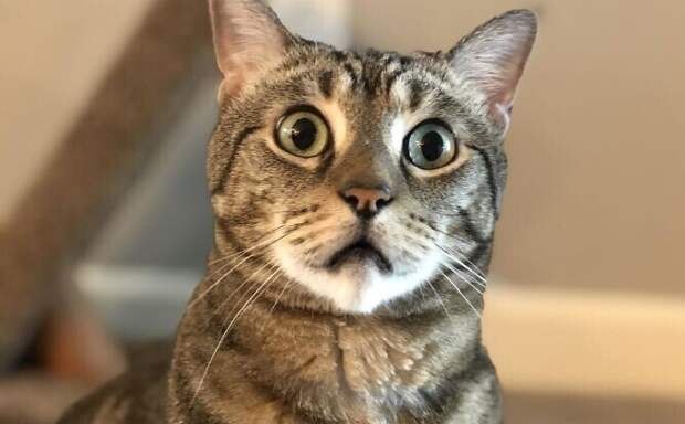    !  o !  !  !!!  !   ,  ...