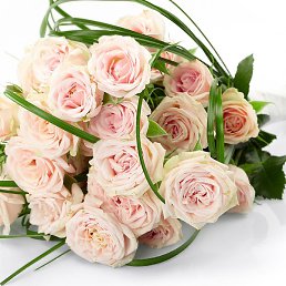 �����, �������, 29 ���