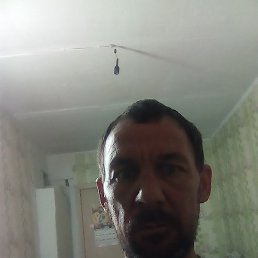 �����, �����������, 47 ���