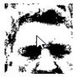 ��������, ������, 66 ���