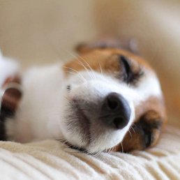 ���� Fly On The Wall, �����-���������, 55 ��� - ��������� 10 ����� 2022