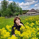 ���� �������-183, ��������, 54 ���� - ��������� 23 ������� 2022 � ������ ���� ����������