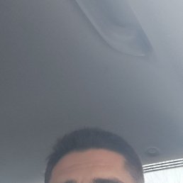 ���� �����, ������, 39 ��� - ��������� 17 ������ 2023