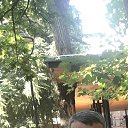 ���� Giorgi, �������, 45 ��� - ��������� 5 ������ 2023