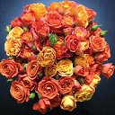 ���� ������, ������, 72 ���� - ��������� 11 ������� 2022 � ������ ���� ����������