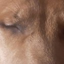 ���� �zju�, ����, 51 ��� - ��������� 3 ������� 2023 � ������ ���� ����������