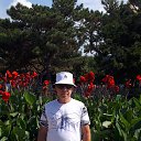 ���� �������, ���������� �����, 71 ��� - ��������� 22 ������� 2022 � ������ ���� ����������